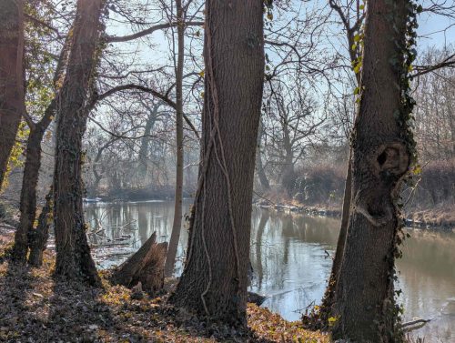 Blick-Weiße-Elster-Schlosspark-Leipzig-Lützschena-Stahmeln